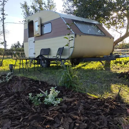 Ddr Wohnwagen Qek Aero Hébergement de vacances