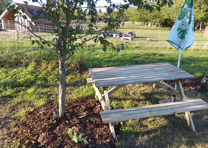 Ddr Wohnwagen Qek Aero Semesterbostad