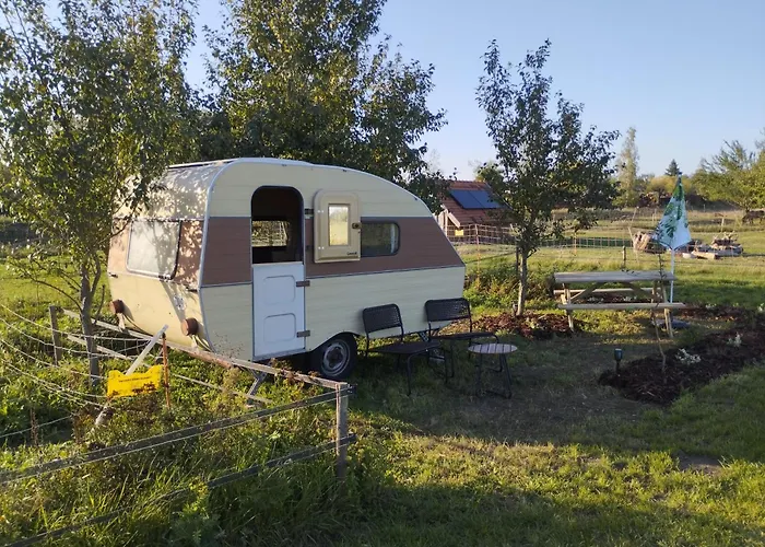 Semesterbostad Ddr Wohnwagen Qek Aero Sandau